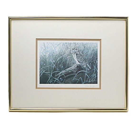 Vintage Don Li- Leger Short Eared Owl Framed Print 1986 Natural Art Artist BC - Picture 3 of 14